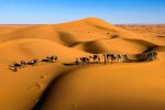 Marrakech to the Sahara: How to Plan the Perfect Desert Adventure